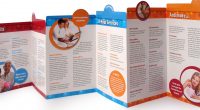 In brochure tp hcm