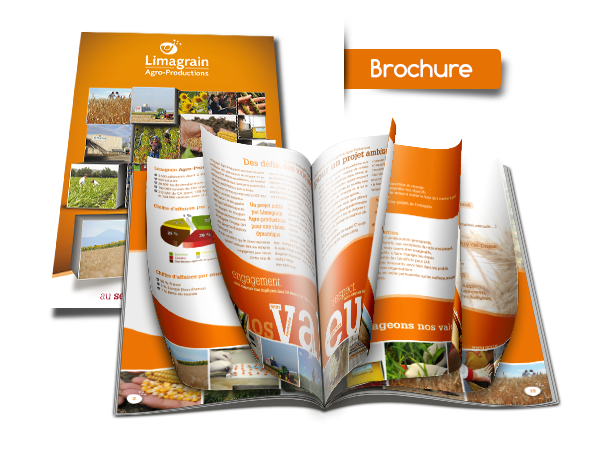 In brochure cao cấp In brochure cao cấp
